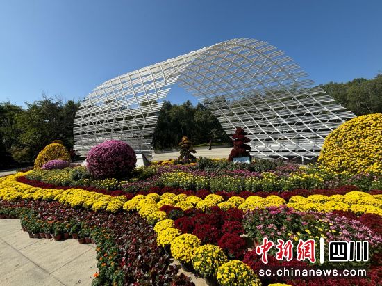 梓潼縣第三屆文昌公園菊花展。 林忠偉 攝 梓潼縣第三屆文昌公園菊花展。 林忠偉 攝