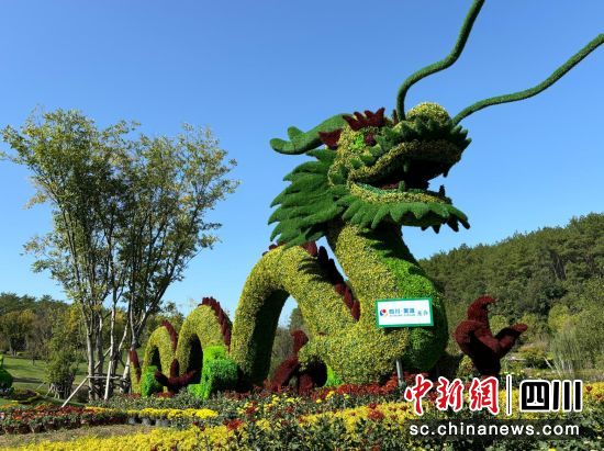 梓潼縣第三屆文昌公園菊花展。 林忠偉 攝 梓潼縣第三屆文昌公園菊花展。 林忠偉 攝