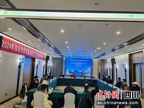 研討會現場。四川省紅星作家協會 供圖 研討會現場。四川省紅星作家協會 供圖