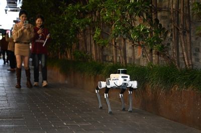正在巡邏的機器狗“靈瞳”吸引了市民的關注 正在巡邏的機器狗“靈瞳”吸引了市民的關注
