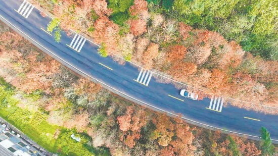 ▲改造后的邛蘆路。 ▲改造后的邛蘆路。